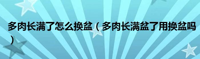 多肉长满了怎么换盆（多肉长满盆了用换盆吗）