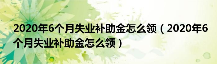 2020年6个月失业补助金怎么领（2020年6个月失业补助金怎么领）