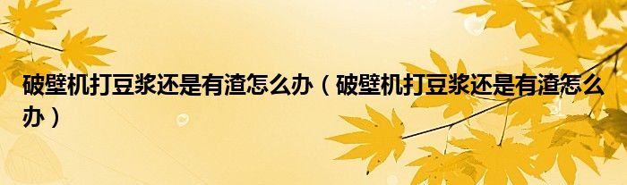 破壁机打豆浆还是有渣怎么办（破壁机打豆浆还是有渣怎么办）