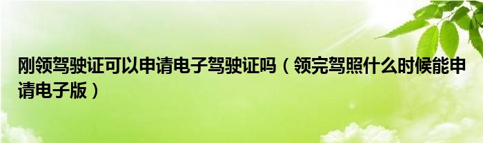 刚领驾驶证可以申请电子驾驶证吗（领完驾照什么时候能申请电子版）