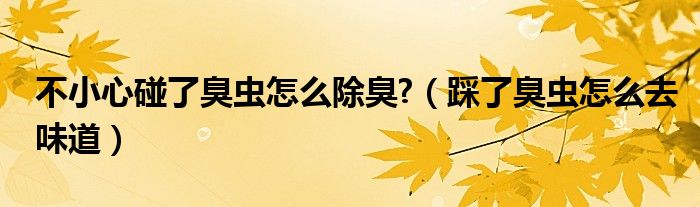 不小心碰了臭虫怎么除臭?（踩了臭虫怎么去味道）