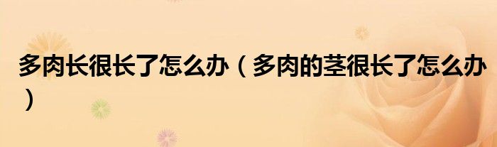 多肉长很长了怎么办（多肉的茎很长了怎么办）