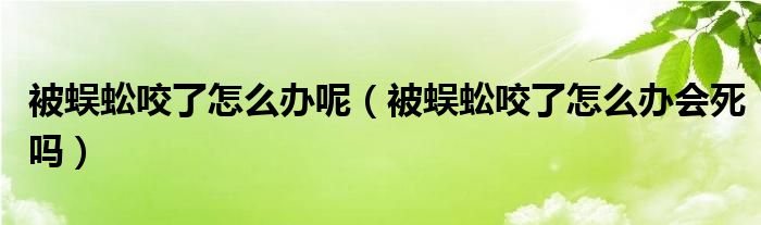 被蜈蚣咬了怎么办呢（被蜈蚣咬了怎么办会死吗）