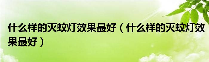 什么样的灭蚊灯效果最好（什么样的灭蚊灯效果最好）