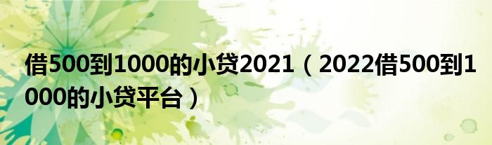 借500到1000的小贷2021（2022借500到1000的小贷平台）