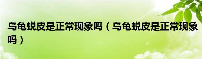 乌龟蜕皮是正常现象吗（乌龟蜕皮是正常现象吗）