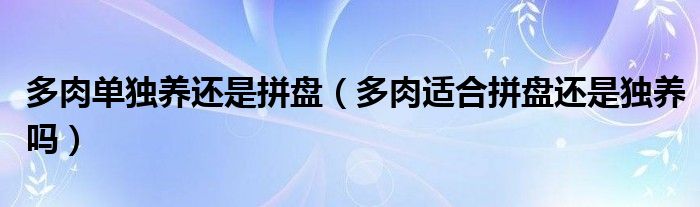 多肉单独养还是拼盘（多肉适合拼盘还是独养吗）