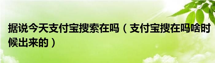 据说今天支付宝搜索在吗（支付宝搜在吗啥时候出来的）