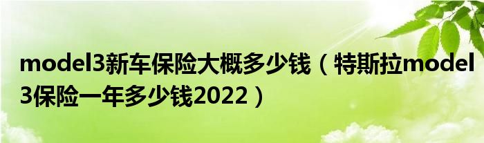 model3新车保险大概多少钱（特斯拉model3保险一年多少钱2022）