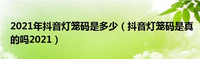 2021年抖音灯笼码是多少（抖音灯笼码是真的吗2021）