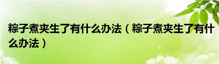 粽子煮夹生了有什么办法（粽子煮夹生了有什么办法）