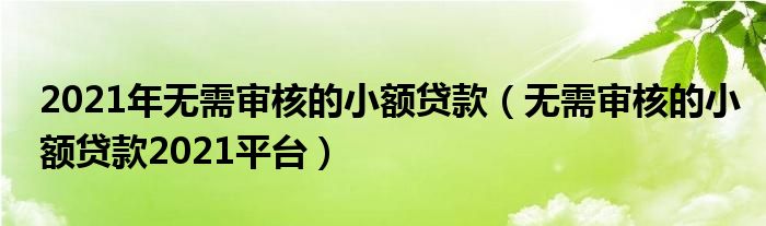 2021年无需审核的小额贷款（无需审核的小额贷款2021平台）