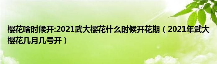 樱花啥时候开:2021武大樱花什么时候开花期（2021年武大樱花几月几号开）