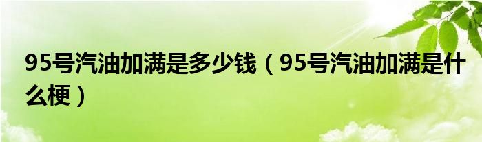 95号汽油加满是多少钱（95号汽油加满是什么梗）