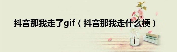 抖音那我走了gif（抖音那我走什么梗）