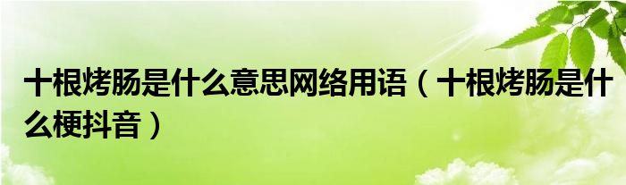 十根烤肠是什么意思网络用语（十根烤肠是什么梗抖音）