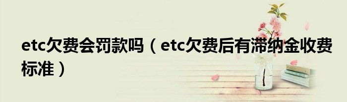 etc欠费会罚款吗（etc欠费后有滞纳金收费标准）