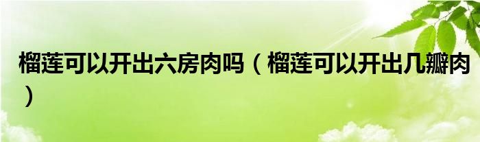 榴莲可以开出六房肉吗（榴莲可以开出几瓣肉）