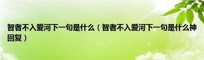 智者不入爱河下一句是什么（智者不入爱河下一句是什么神回复）