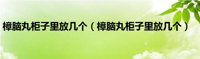 樟脑丸柜子里放几个（樟脑丸柜子里放几个）