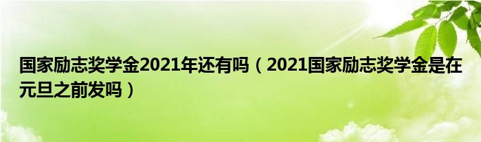 国家励志奖学金2021年还有吗（2021国家励志奖学金是在元旦之前发吗）