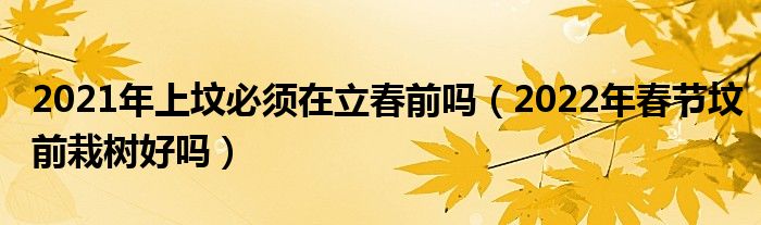 2021年上坟必须在立春前吗（2022年春节坟前栽树好吗）