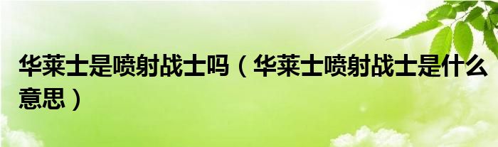 华莱士是喷射战士吗（华莱士喷射战士是什么意思）