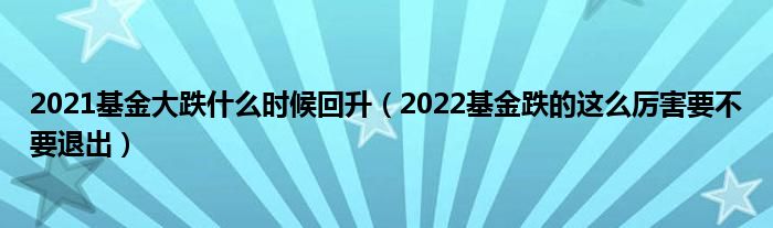 2021基金大跌什么时候回升（2022基金跌的这么厉害要不要退出）