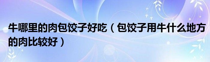 牛哪里的肉包饺子好吃（包饺子用牛什么地方的肉比较好）