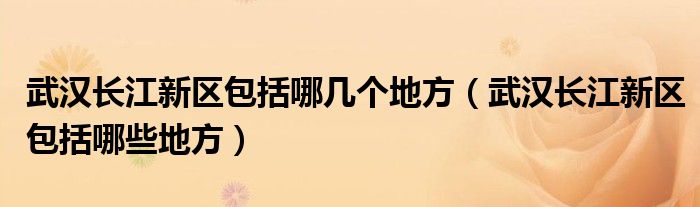 武汉长江新区包括哪几个地方（武汉长江新区包括哪些地方）