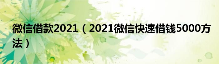 微信借款2021（2021微信快速借钱5000方法）