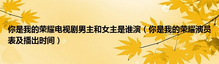 你是我的荣耀电视剧男主和女主是谁演（你是我的荣耀演员表及播出时间）