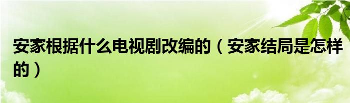 安家根据什么电视剧改编的（安家结局是怎样的）