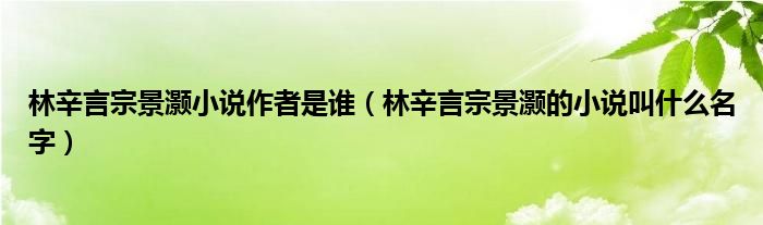 林辛言宗景灏小说作者是谁（林辛言宗景灏的小说叫什么名字）