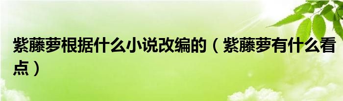 紫藤萝根据什么小说改编的（紫藤萝有什么看点）