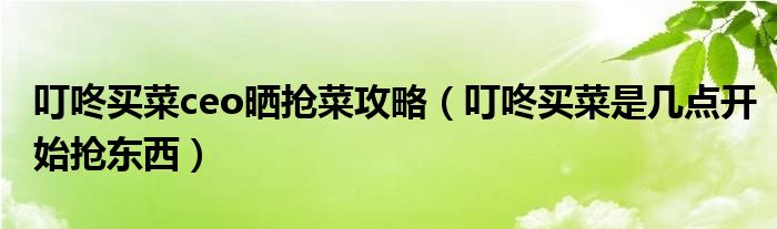 叮咚买菜ceo晒抢菜攻略（叮咚买菜是几点开始抢东西）