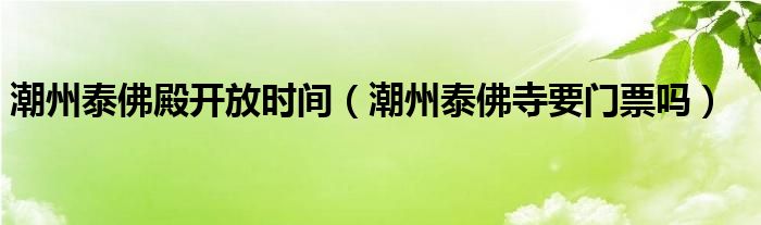 潮州泰佛殿开放时间（潮州泰佛寺要门票吗）