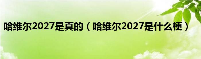 哈维尔2027是真的（哈维尔2027是什么梗）