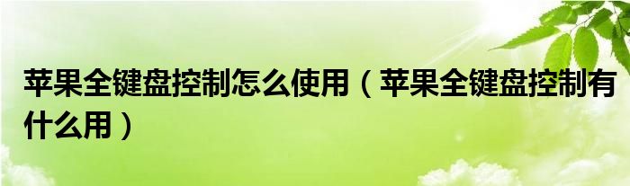 苹果全键盘控制怎么使用（苹果全键盘控制有什么用）