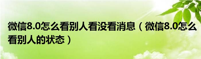 微信8.0怎么看别人看没看消息（微信8.0怎么看别人的状态）