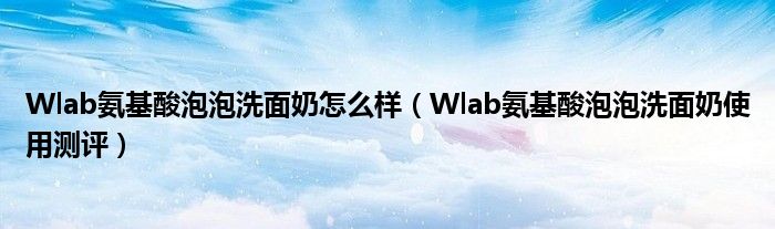 Wlab氨基酸泡泡洗面奶怎么样（Wlab氨基酸泡泡洗面奶使用测评）