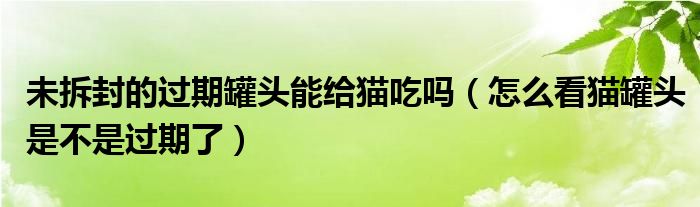 未拆封的过期罐头能给猫吃吗（怎么看猫罐头是不是过期了）