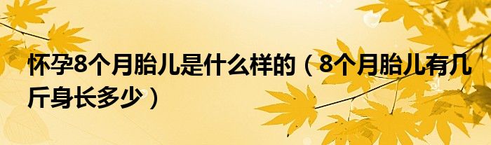 怀孕8个月胎儿是什么样的（8个月胎儿有几斤身长多少）