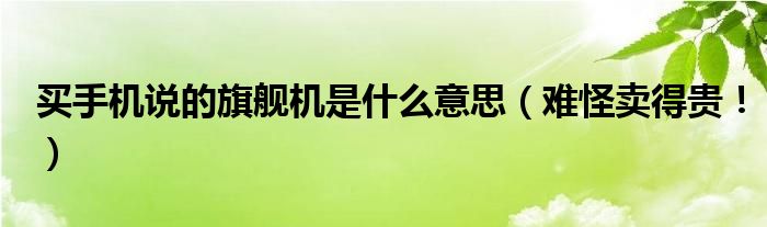 买手机说的旗舰机是什么意思（难怪卖得贵！）