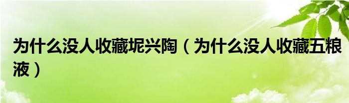 为什么没人收藏坭兴陶（为什么没人收藏五粮液）