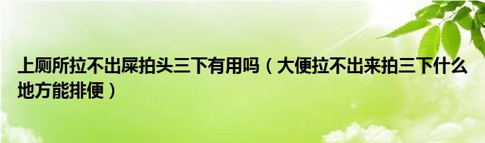 上厕所拉不出屎拍头三下有用吗（大便拉不出来拍三下什么地方能排便）