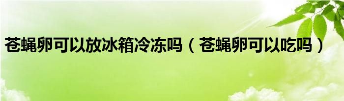 苍蝇卵可以放冰箱冷冻吗（苍蝇卵可以吃吗）