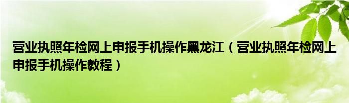 营业执照年检网上申报手机操作黑龙江（营业执照年检网上申报手机操作教程）