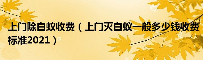 上门除白蚁收费（上门灭白蚁一般多少钱收费标准2021）