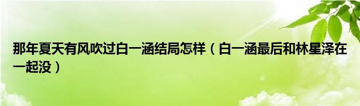 那年夏天有风吹过白一涵结局怎样（白一涵最后和林星泽在一起没）